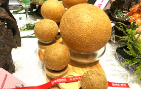 參賽作品-網(wǎng)紅麻園