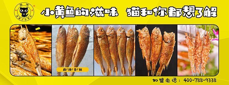 夜貓子小黃魚培訓圖片